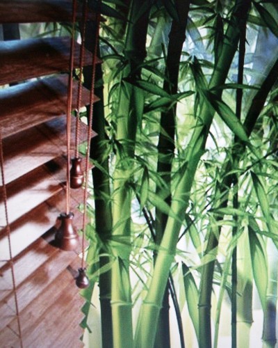 żaluzja bambusowa.JPG